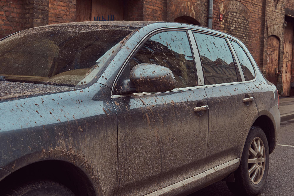 Paint Protection Film